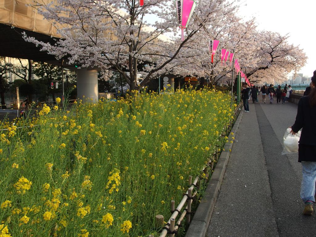 Ferienwohnung Shitamachi Base Präfektur Tokio Exterior foto